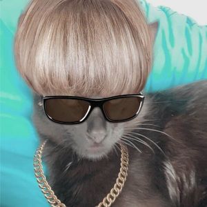 Meet your Posher, Lucas